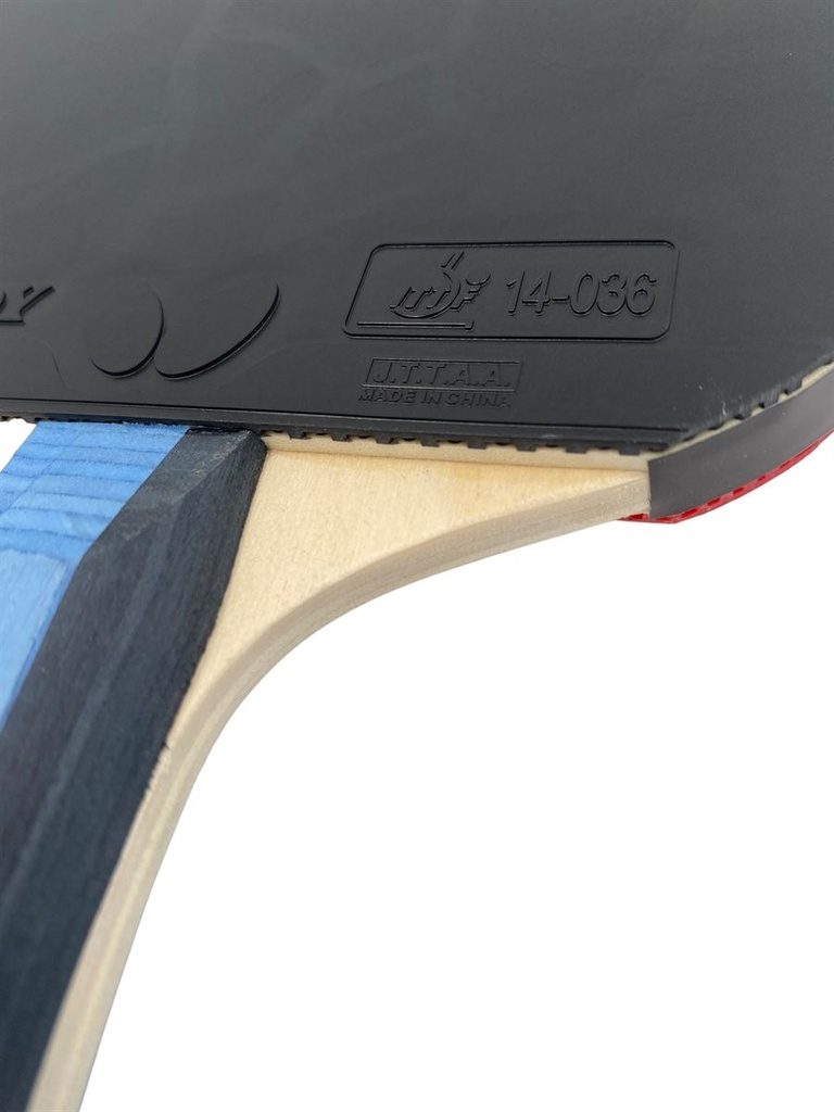 BUTTERFLY  Tennis table   -Butterfly Timo Bold  Sapphire
