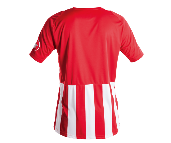 Luanvi - 2023 Soccer shirt Red/white