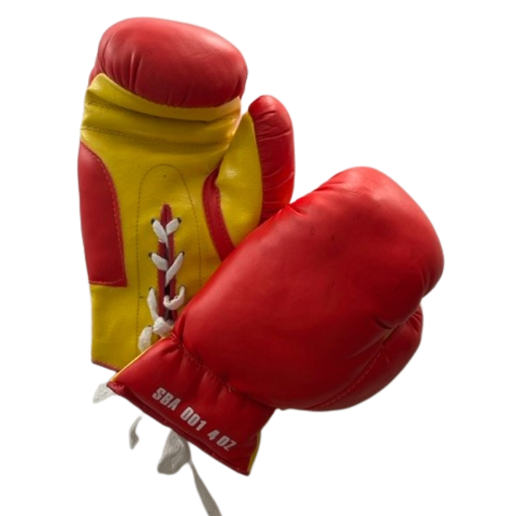 SDI - Gants de boxe - enfants jusqu'à 6 ans