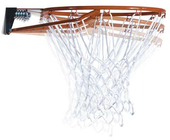Basketbalring - Lifetime - 5820 - met veer