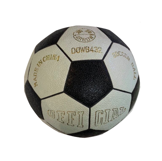 Ballon de salle Dinasport n°4 Zwart 