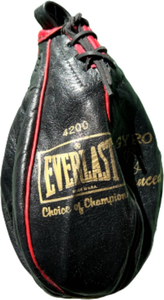 Everlast - Sac de frappe rapide - 4200 Cuir