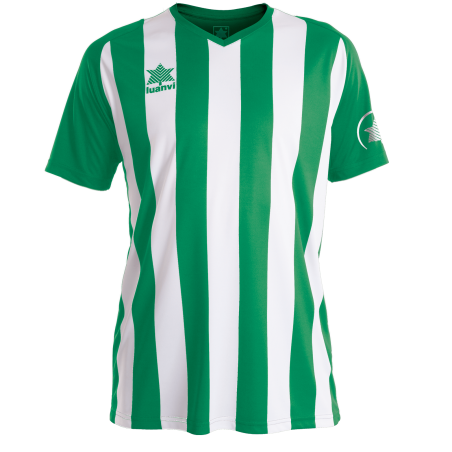 Luanvi - Maillot de football 2023 vert/blanc