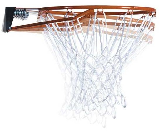 Basketbalring - Lifetime 5850 - met veer