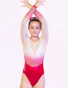 Milano - long sleeve leotard Cerulean -Pink