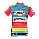 Vintage cycling jersey -Amore & Vita 2012