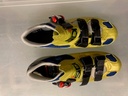 Sidi -  Shadow  vintage  race  oro blue