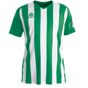 Luanvi - Maillot de football 2023 vert/blanc