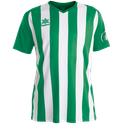 Luanvi - Voetbalshirt 2023 groen/wit
